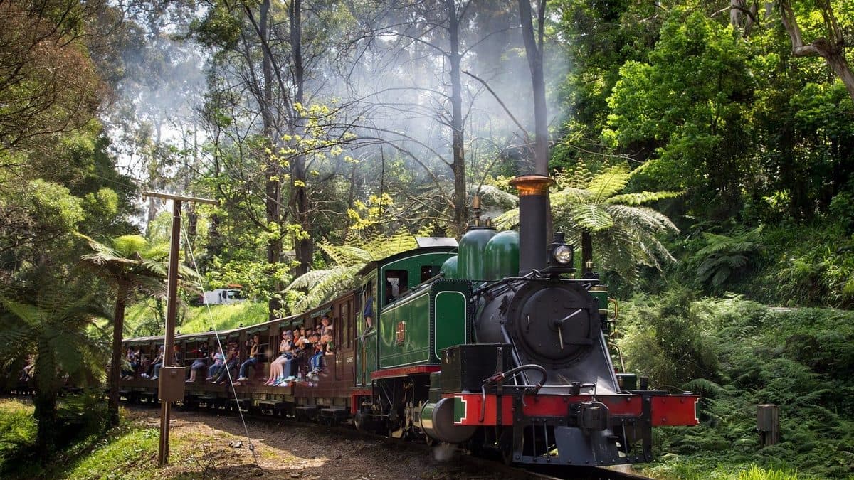 School Holiday Activities in Melbourne: The Complete Guide